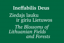 Exhibition "Ineffabilis Deus," January 28–March 28, 2026
